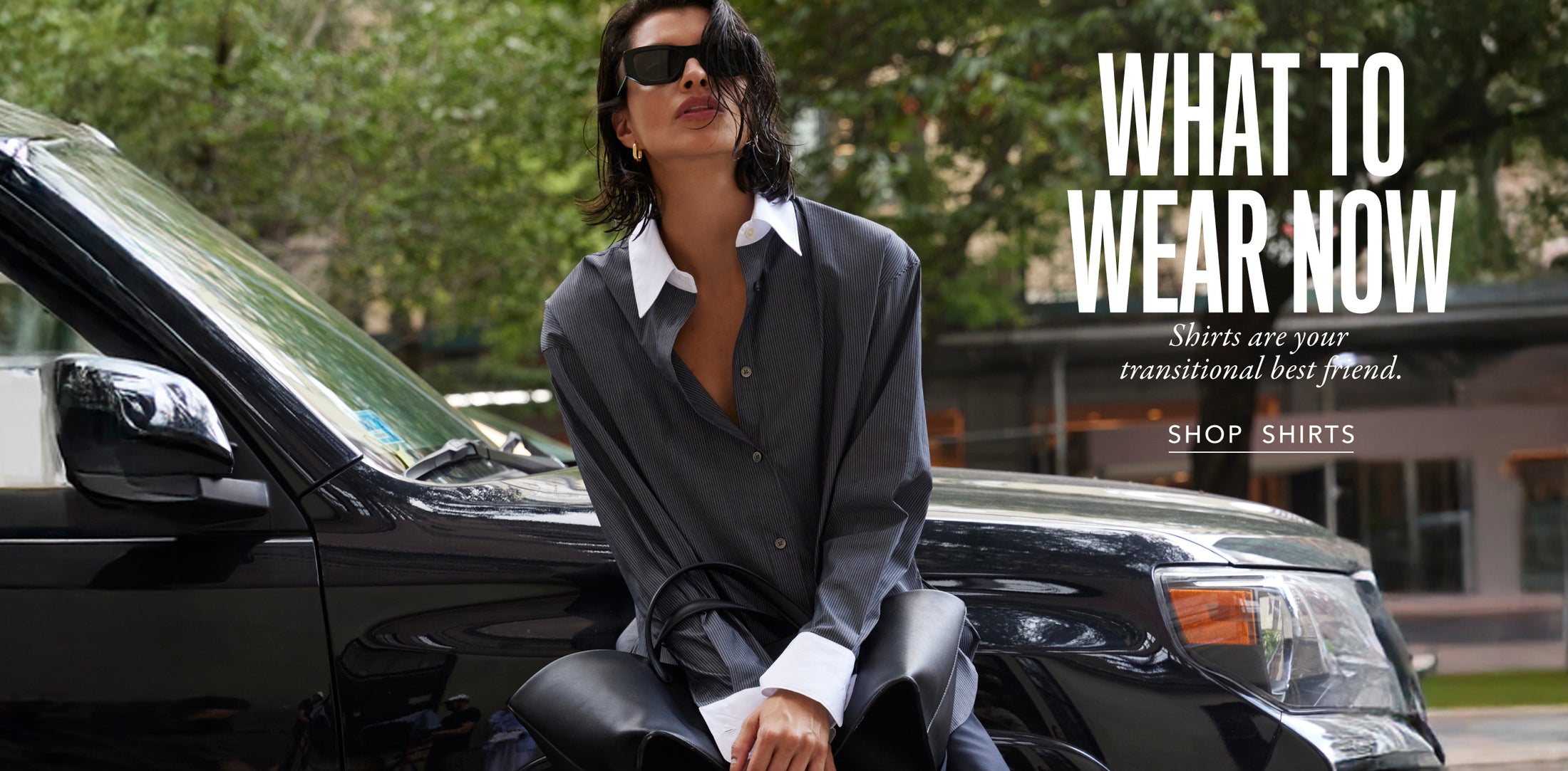 desktop version of promotional image