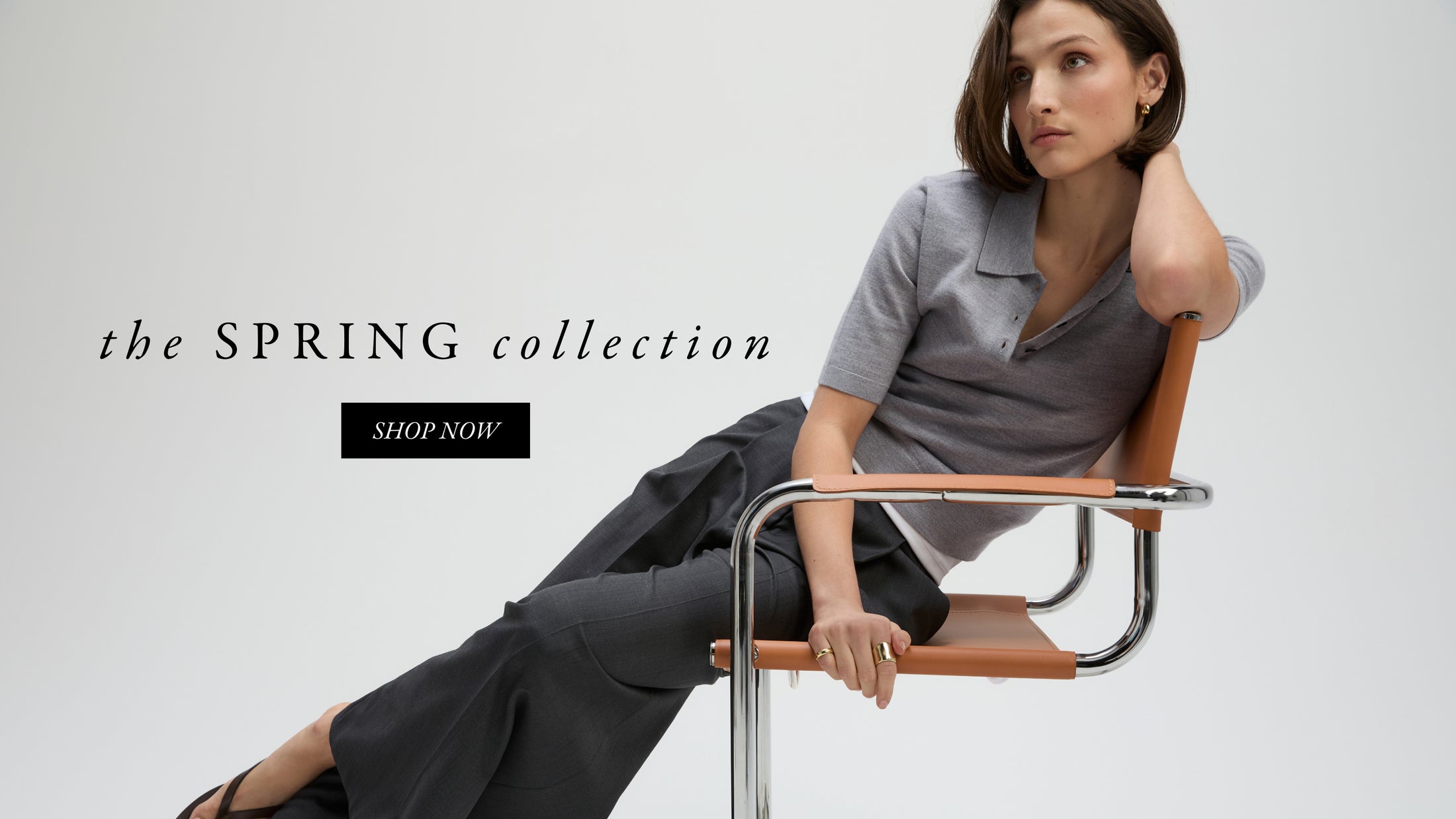 desktop version of promotional image