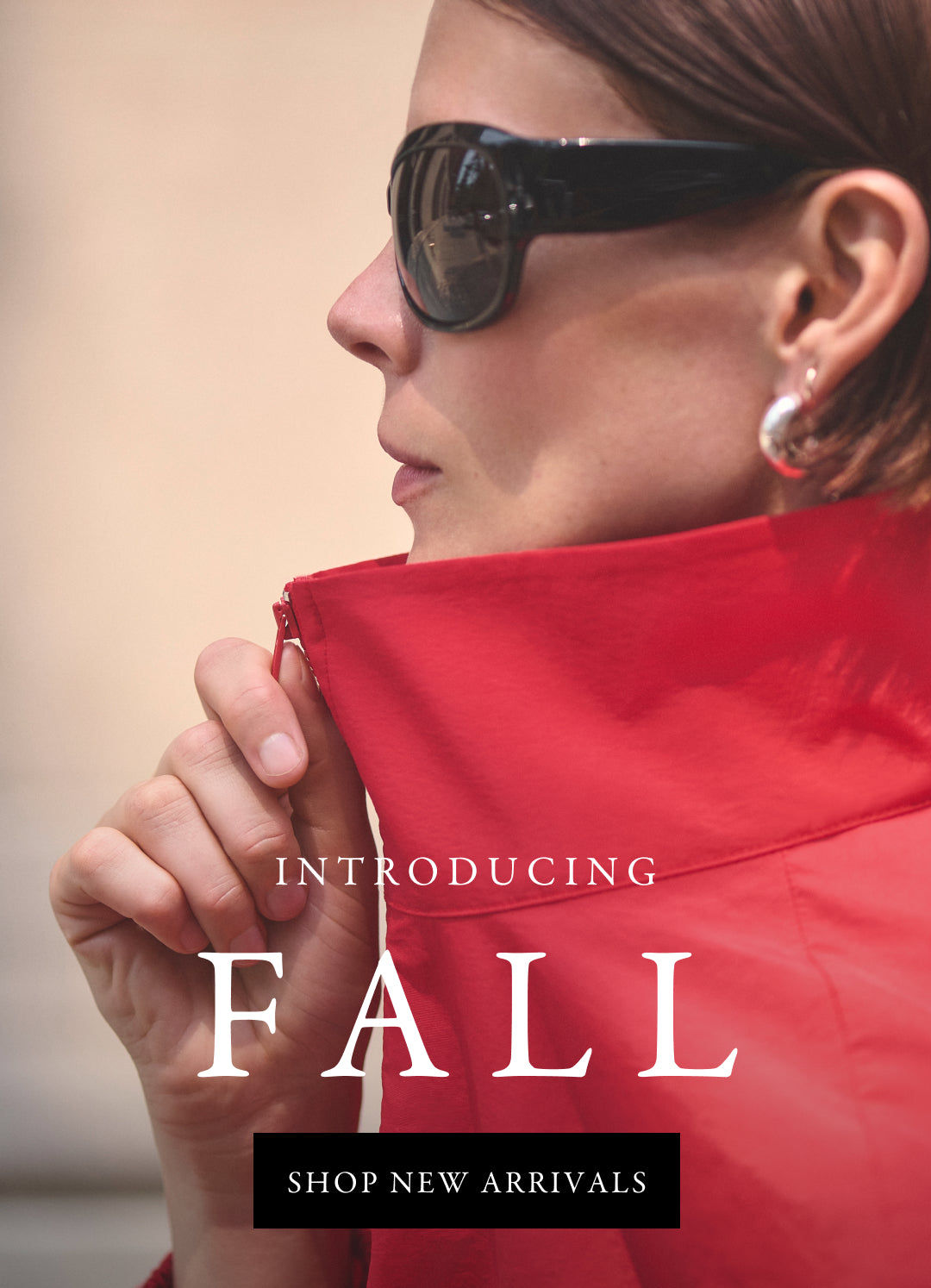 mobile version of promotional image
