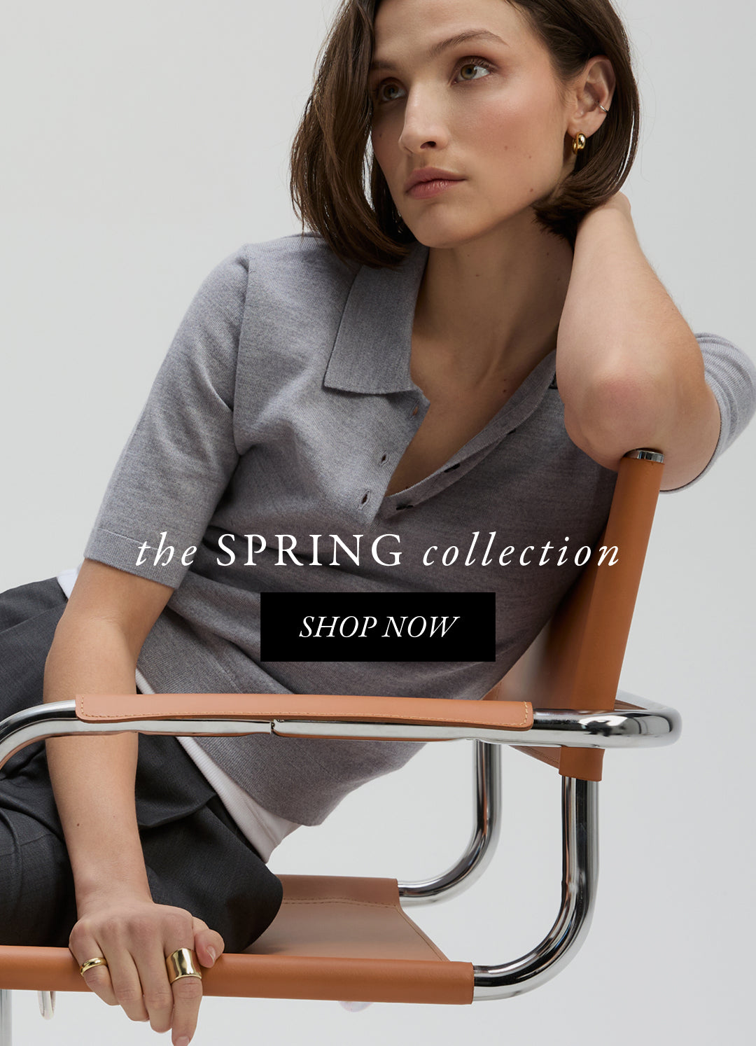 mobile version of promotional image