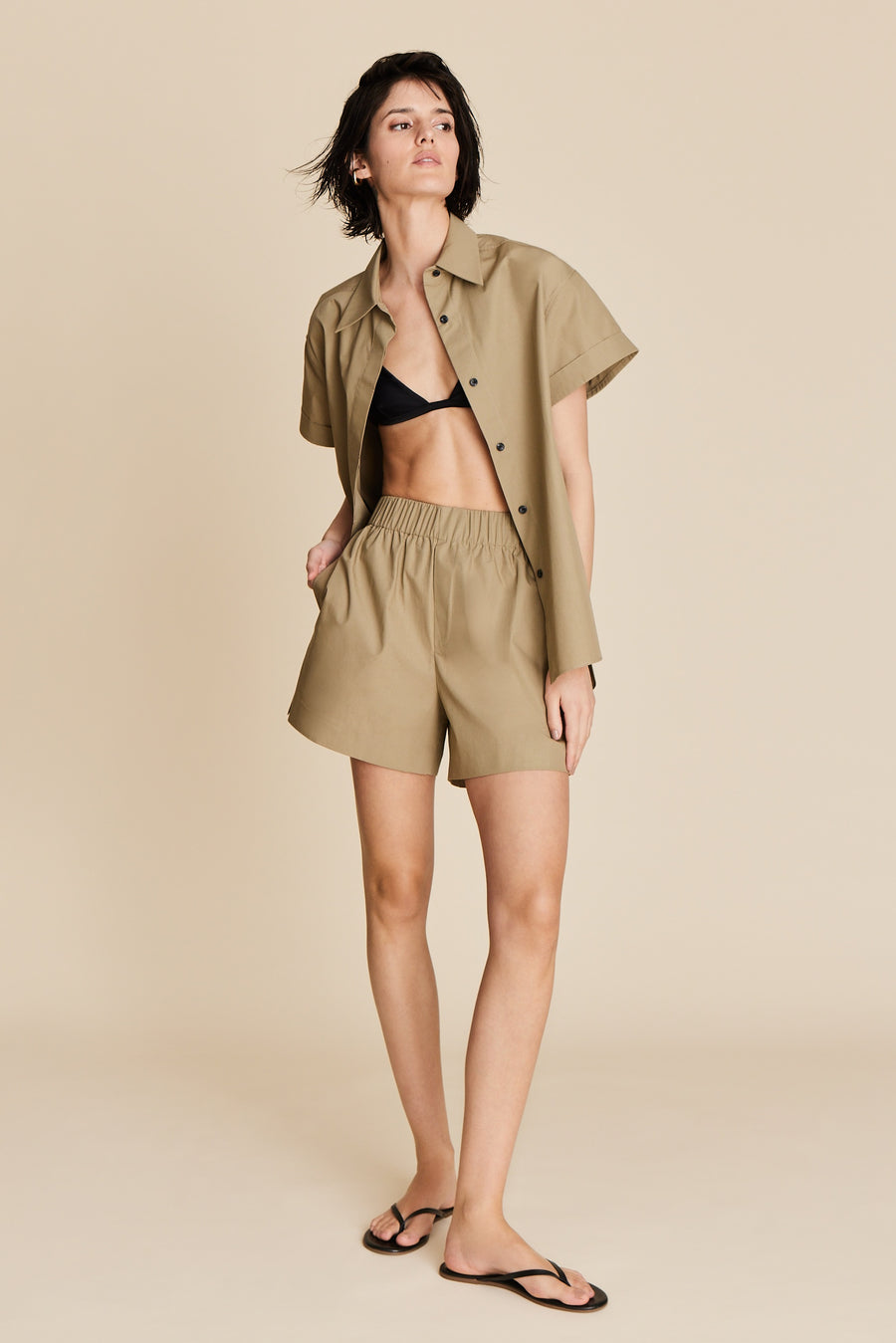 The Everything Short in Olive